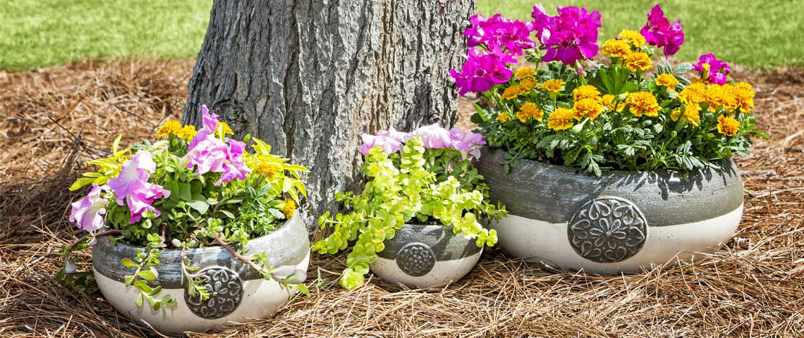 flower-containers-header